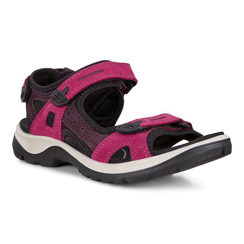 Sandalias Ecco Offroad Para Mujer,Rosas,269140-AWJ